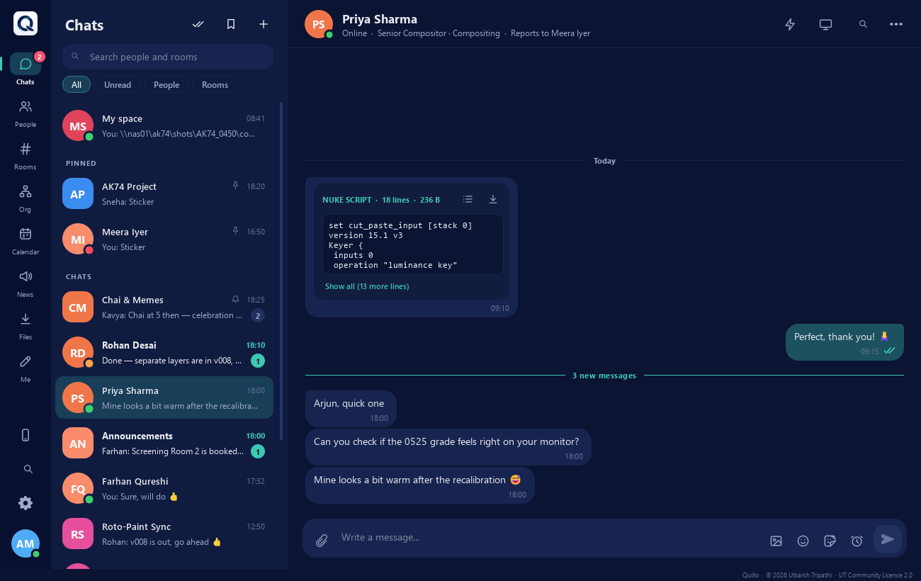 A direct chat where a pasted Nuke script shows as a card with copy and download buttons